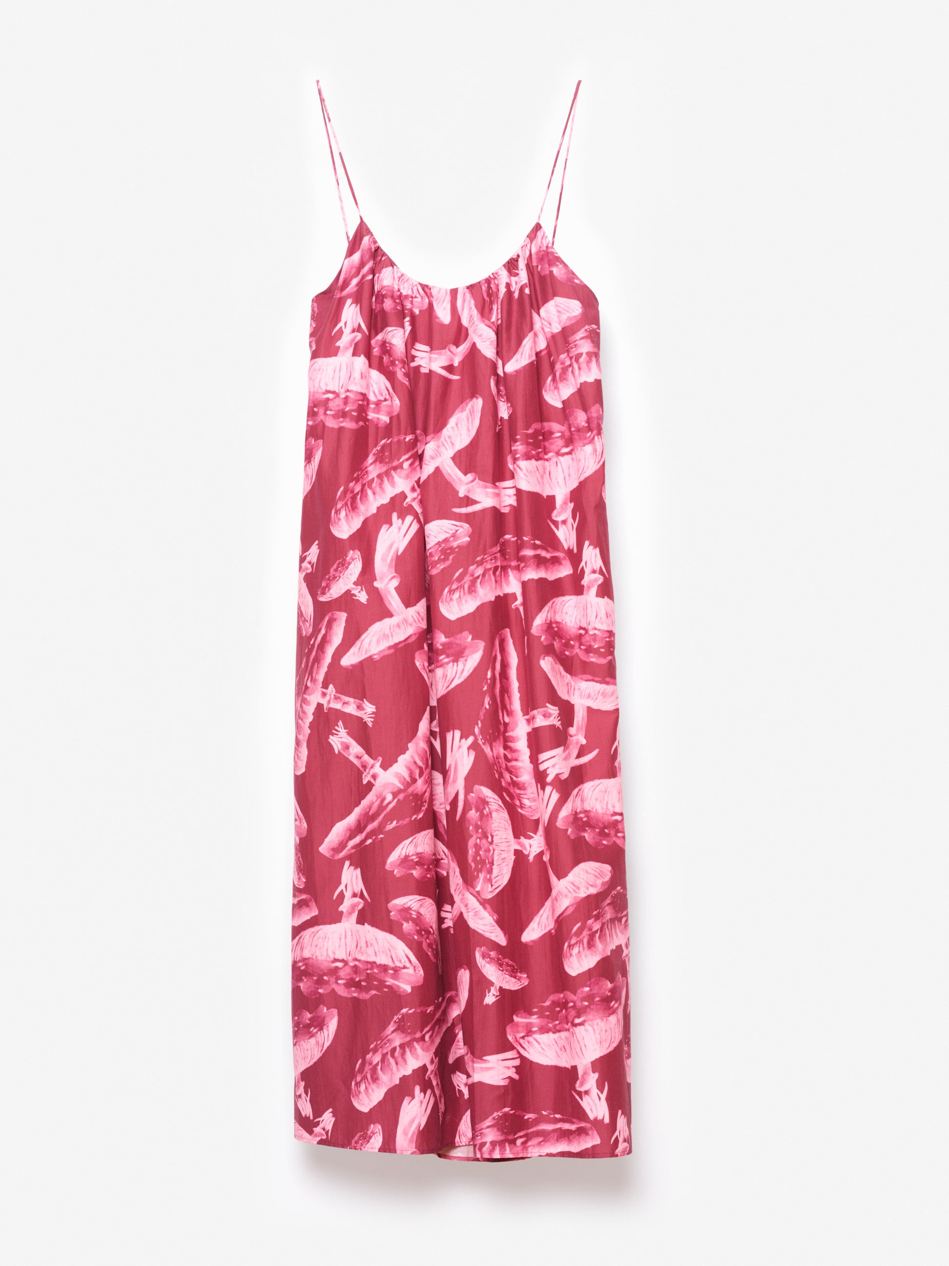 Deep Pink / Pink