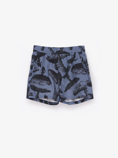 Night Shadow Blue / Black